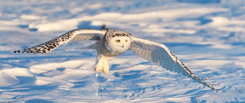 After Work: Natur- und Reisefotografie